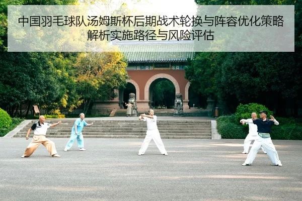 中国羽毛球队汤姆斯杯后期战术轮换与阵容优化策略解析实施路径与风险评估