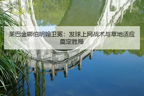 lai-ba-jin-na-bo-ming-han-wei-mian-fa-qiu-shang-wang-zhan-shu-yu-cao-di-shi-ying-dian-ding-sheng-ju-2-904.jpg