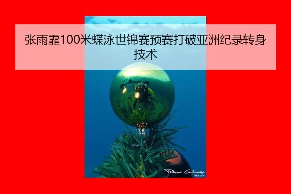 张雨霏100米蝶泳世锦赛预赛打破亚洲纪录转身技术